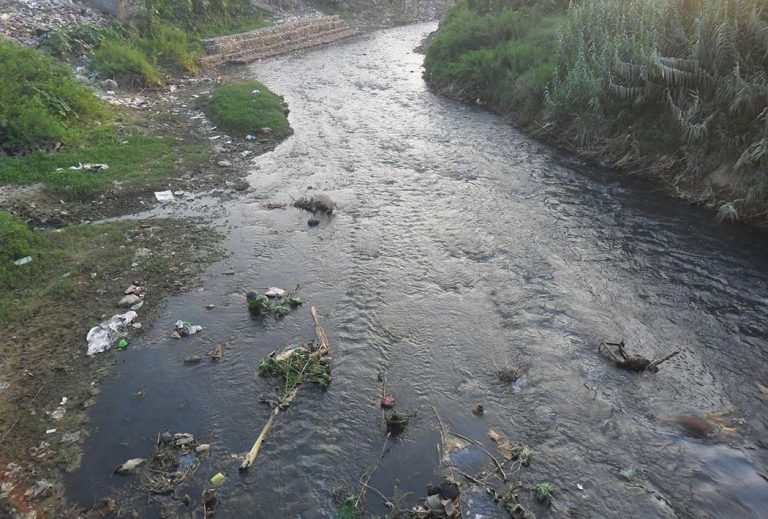सिर्सिया नदी दुर्गन्धितको प्रमुख कारक उद्योगको फोहोर पानी