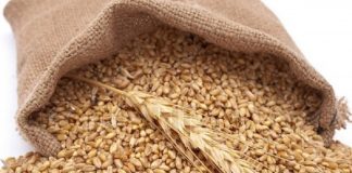 सरकारले तोक्यो गहुँको समर्थन मूल्य