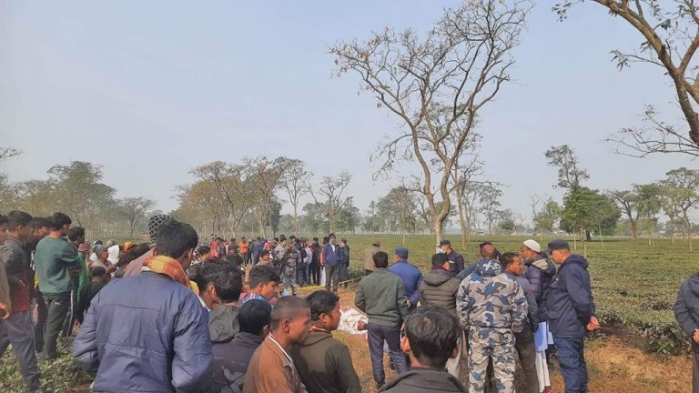झापाको चिया बगानमा युवक-युवती झुण्डिएको अवस्थामा मृत फेला