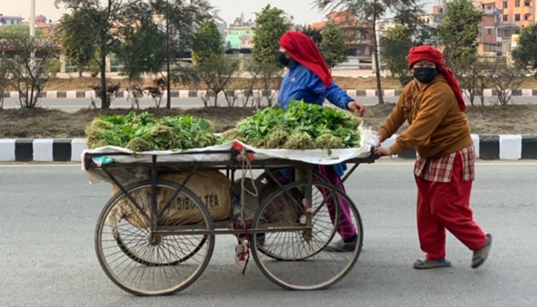 काठमाडौं महानगर क्षेत्रभित्र साइकल र ठेलागाडामा व्यापार गर्न प्रतिबन्ध