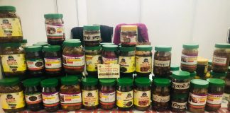 भृकुटीमण्डपमा ‘घरेलु उद्योग महोत्सव’, अवलोकनकर्ता न्यून (फोटोफिचर)