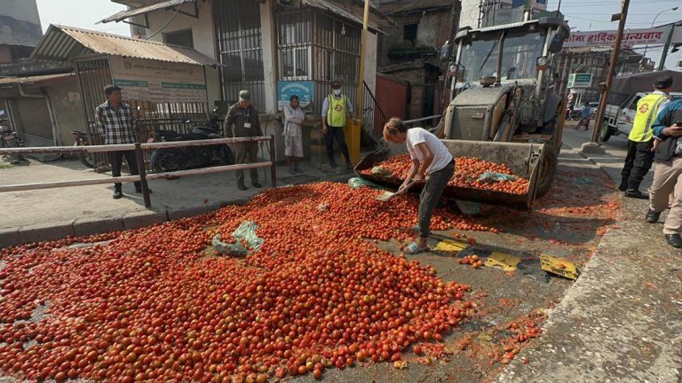 कालीमाटीको सडकमा किसानले फाले गोलभेँडा