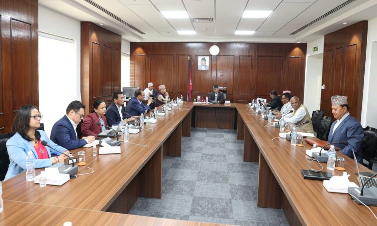 संविधान दिवसमा विभूषण नबाँड्ने, साल्ट ट्रेडिङ र खाद्य कम्पनीलाई चिनी आयातको अनुमति