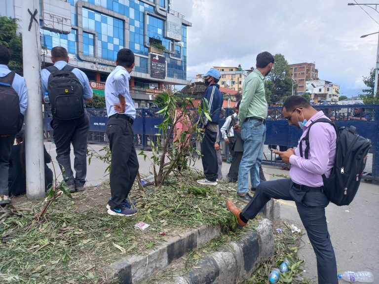 शिक्षक आन्दोलन: कोर एरियामा दिनभर ट्राफिक जाम, सडक छेउका बिरुवा र दूबो सखाप