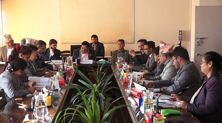 अर्थ समितिले नयाँ स्टक एक्सचेञ्जको लाइसेन्स प्रक्रिया अगाडि बढाउन खोल्यो ढोका, स्वर्णिमको फरक मत