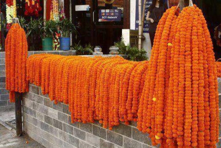 भण्डारण गरी राखिएको १ करोड बढीको भारतीय फूलका माला बरामद