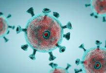 दिल्लीमा पनि फैलियो कोरोनाको सब-भेरियन्ट जेएन.१, नेपालमा कति जोखिम ?