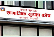 सामाजिक सुरक्षा कोषमा एक खर्ब ११ अर्ब सङ्कलन