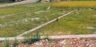 घरजग्गा कारोबारमा उल्लेख्य वृद्धि, राजस्व भने घट्यो