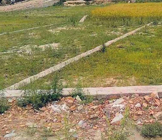 घरजग्गा कारोबारमा उल्लेख्य वृद्धि, राजस्व भने घट्यो