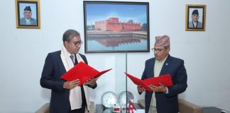 एनएमबि बैंकको अध्यक्षमा मनोजकुमार गोयल