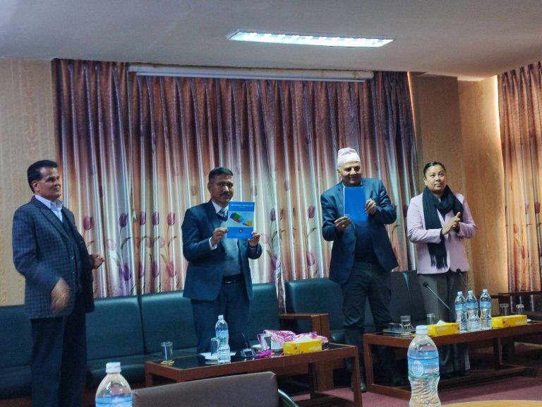 नेपाल व्यापार सर्वेक्षण: ३६ प्रतिशत महिला व्यापारमा संलग्न,  धेरै बागमती प्रदेशका