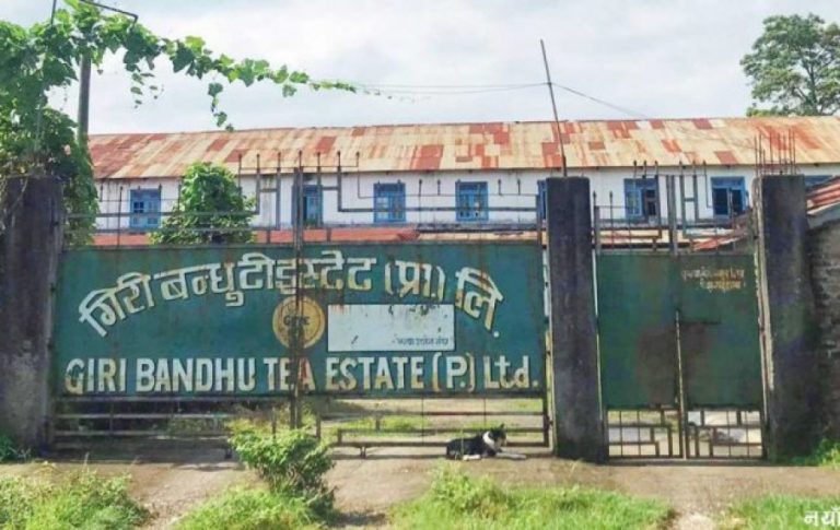 सर्वोच्चले गर्‍यो गिरीबन्धु टी स्टेटको जग्गा सट्टापट्टा गर्ने ओली सरकारको निर्णय बदर
