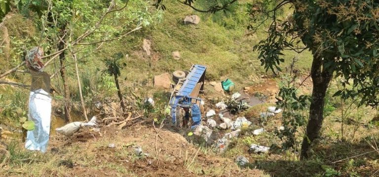 धादिङमा मिनी ट्रक दुर्घटना, १ जनाको मृत्यु, ८ घाइते