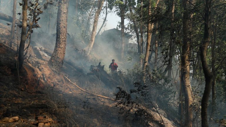 ललितपुरमा डढेलो निभाउने क्रममा घाइते भएका थप एक जनाको मृत्यु