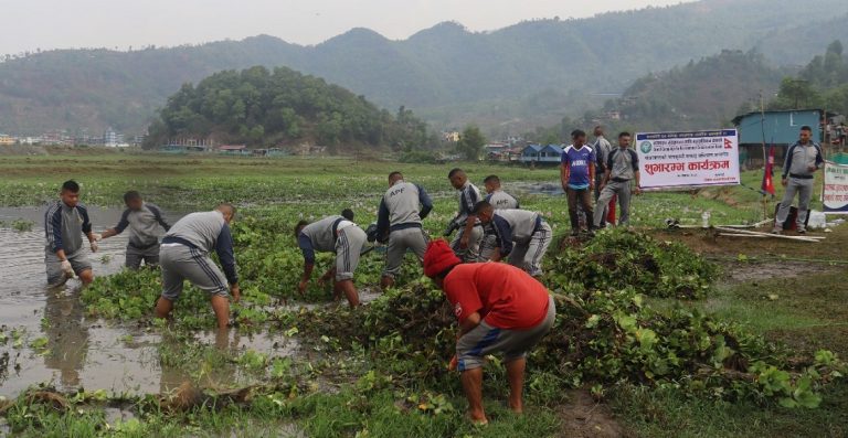फेवातालको जलकुम्भी निकाल्न ४० जनालाई रोजगारी