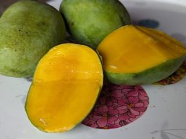 आँप खाँदै हुनुहुन्छ ? देखिन सक्छन् यी समस्या