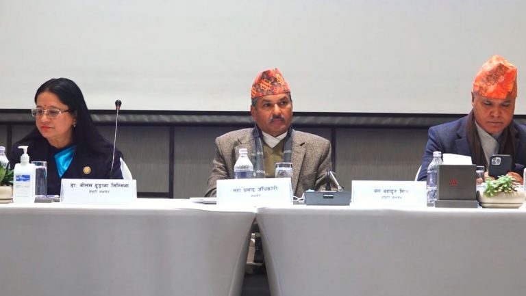 निष्क्रिय तथा गैर बैंकिङ सम्पत्ति व्यवस्थापन  गर्न कम्पनी स्थापना गरिने