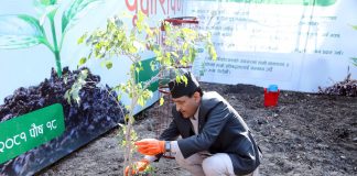 ग्लोबल आइएमई बैंकको १८औँ वार्षिकोत्सवको अवसरमा १८ हजार बृक्षारोपण गर्ने घोषणा
