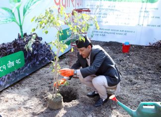 ग्लोबल आइएमई बैंकको १८औँ वार्षिकोत्सवको अवसरमा १८ हजार बृक्षारोपण गर्ने घोषणा
