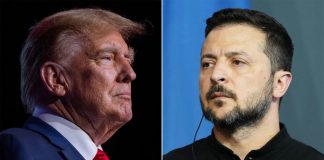 ट्रम्पले फोन गरेर जेलेन्स्कीसँग गरे वार्ता, वाशिङ्टन आउने निम्तो दिए