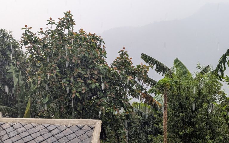 इलाममा सबैभन्दा  बढि पानी पर्यो