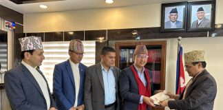 नेप्सेकाे सीईओमा चुडामणि चापागाईं नियुक्त