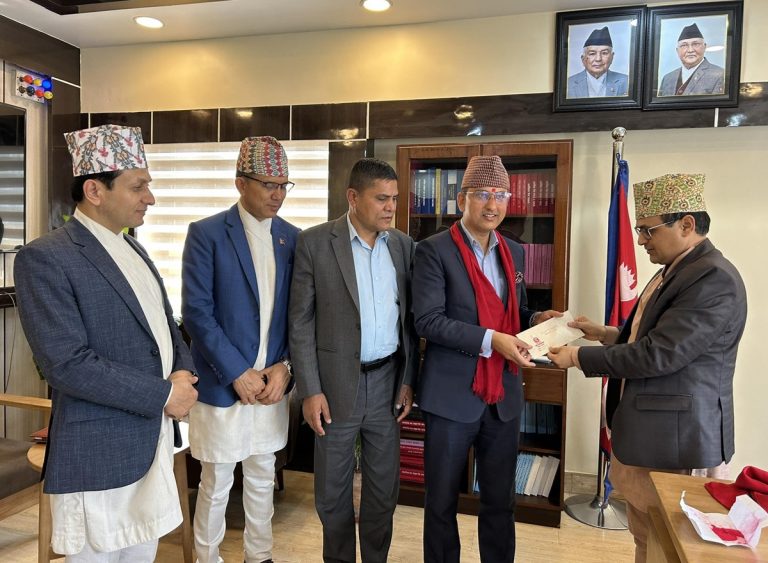 नेप्सेकाे सीईओमा चुडामणि चापागाईं नियुक्त