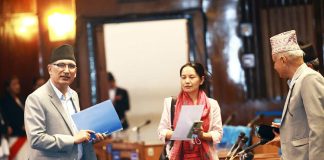 आर्थिक विकास र पूर्वधार परियोजनामा लगानी सुनिश्चित गर्न वैकल्पिक विकास वित्त : अर्थमन्त्री पौडेल