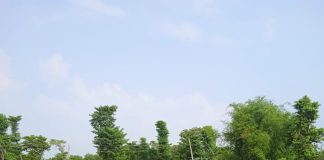 माईखोलाको बाढी बस्ती पस्यो, सुगाबथानका २२ घर डुबानमा