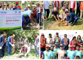 ग्लोबल आइएमई बैंकद्वारा विश्व वातावरण दिवसको अवसरमा देश व्यापीरुपमा वृहत् बृक्षारोपण कार्यक्रम आयोजना