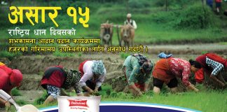 जनजागृत महिला समाजले रोपाँई कार्यक्रम आयोजना गर्दै, प्रायोजकमा हेटौडा डेरी