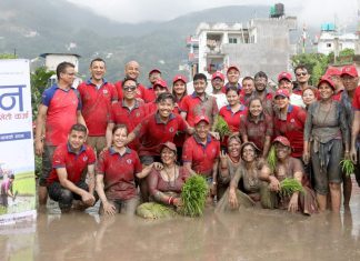 धान दिवसमा ग्लोबलकाे ‘धान खेती कर्जा’ सार्वजनिक