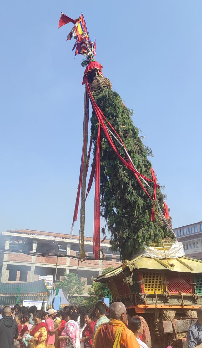 रातो मच्छेन्द्रनाथको भोटो जात्राकाे तयारी, हेर्नुस् तस्बिरमा