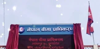 नवीकरण र म्यादी जीवन बीमा शुल्कलाई व्यावसायिक लक्ष्यमा राख्न बीमा कम्पनीलाई निर्देशन