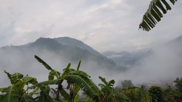 ५ प्रदेशका यी ठाउँमा भारी वर्षाको सम्भावना
