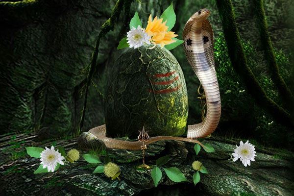 What-Is-Nag-Panchami