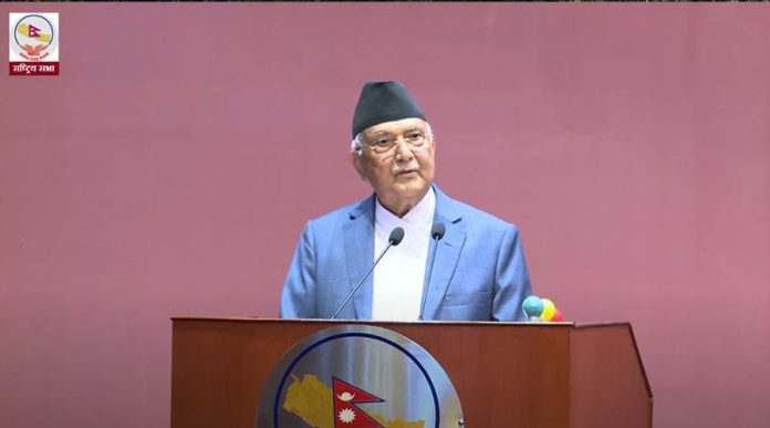 kp-oli-
