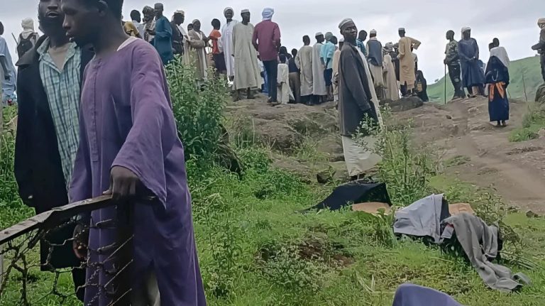 सुडानको पश्चिमी क्षेत्रमा पहिरो जाँदा कम्तीमा १ हजार जनाको मृत्यु