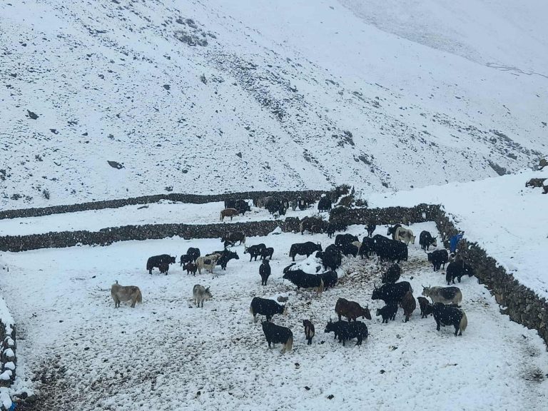 सगरमाथाको तिब्बत क्षेत्रको पूर्वी भागमा फसे सयौं पर्यटक