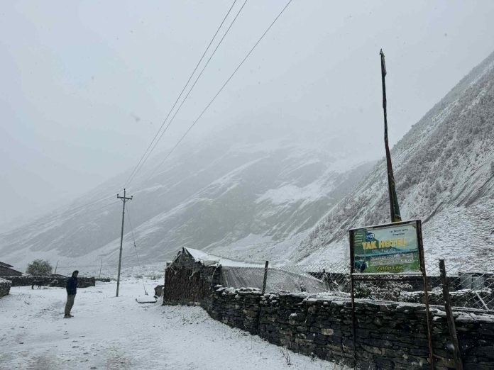 snowing-in-Chhekampar-3-1761623942