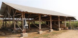 बाँसलाई संरचना निर्माणमा प्रयोग गर्न डिजाइन मार्गदर्शन स्वीकृत