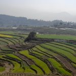 सरकारले सिञ्चाईमा किन ल्यायो नयाँ कम्पनी ? यस्तो छ उद्देश्य