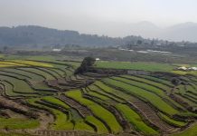 सरकारले सिञ्चाईमा किन ल्यायो नयाँ कम्पनी ? यस्तो छ उद्देश्य