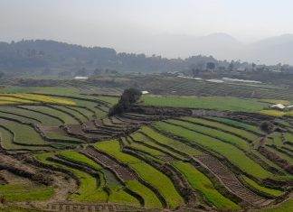 सरकारले सिञ्चाईमा किन ल्यायो नयाँ कम्पनी ? यस्तो छ उद्देश्य