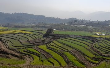 सरकारले सिञ्चाईमा किन ल्यायो नयाँ कम्पनी ? यस्तो छ उद्देश्य