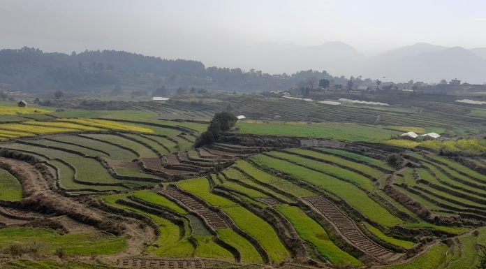 सरकारले सिञ्चाईमा किन ल्यायो नयाँ कम्पनी ? यस्तो छ उद्देश्य