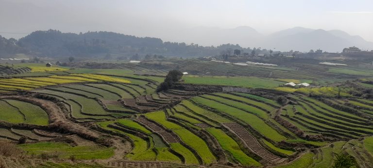 सरकारले सिञ्चाईमा किन ल्यायो नयाँ कम्पनी ? यस्तो छ उद्देश्य