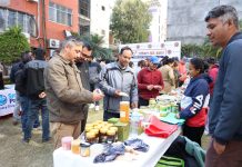 ग्लोबल आइएमई बैंकको ग्लोबल हाटबजारको ५०औँ हप्ता पुरा