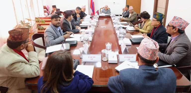 प्रधानमन्त्रीले भनिन् :’राजनीतिमा लाग्नेले तत्काल मन्त्री छोड्नुहोस्’